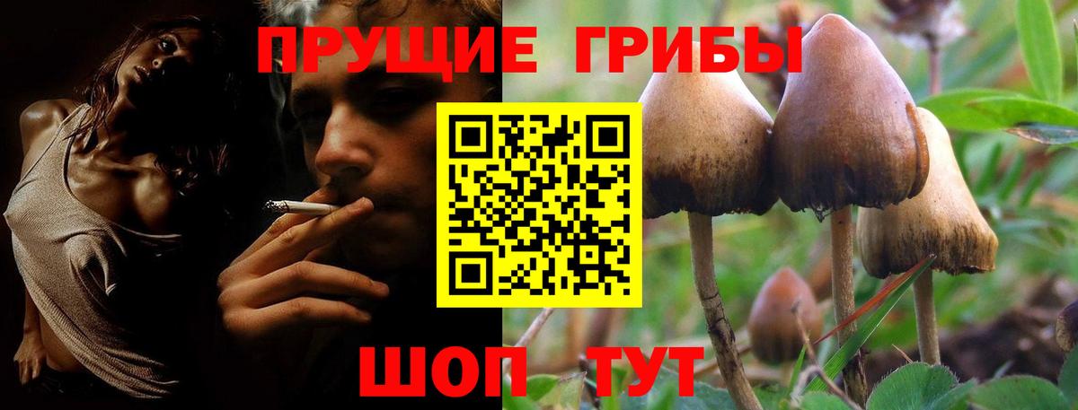 Кулебаки  Псилоцибиновые грибы Psilocybe  закладки  Вход с VPN 