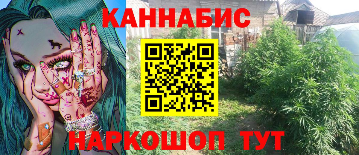 Конопля гибрид Кулебаки